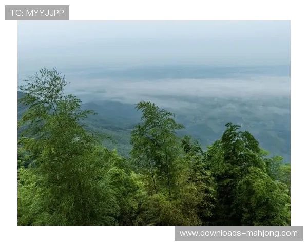 莫干山站斯巴达勇士赛创新障碍引入毛竹搬运 融合地方文化特色